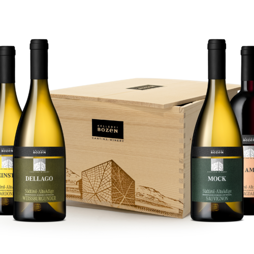 Primavera Election 42